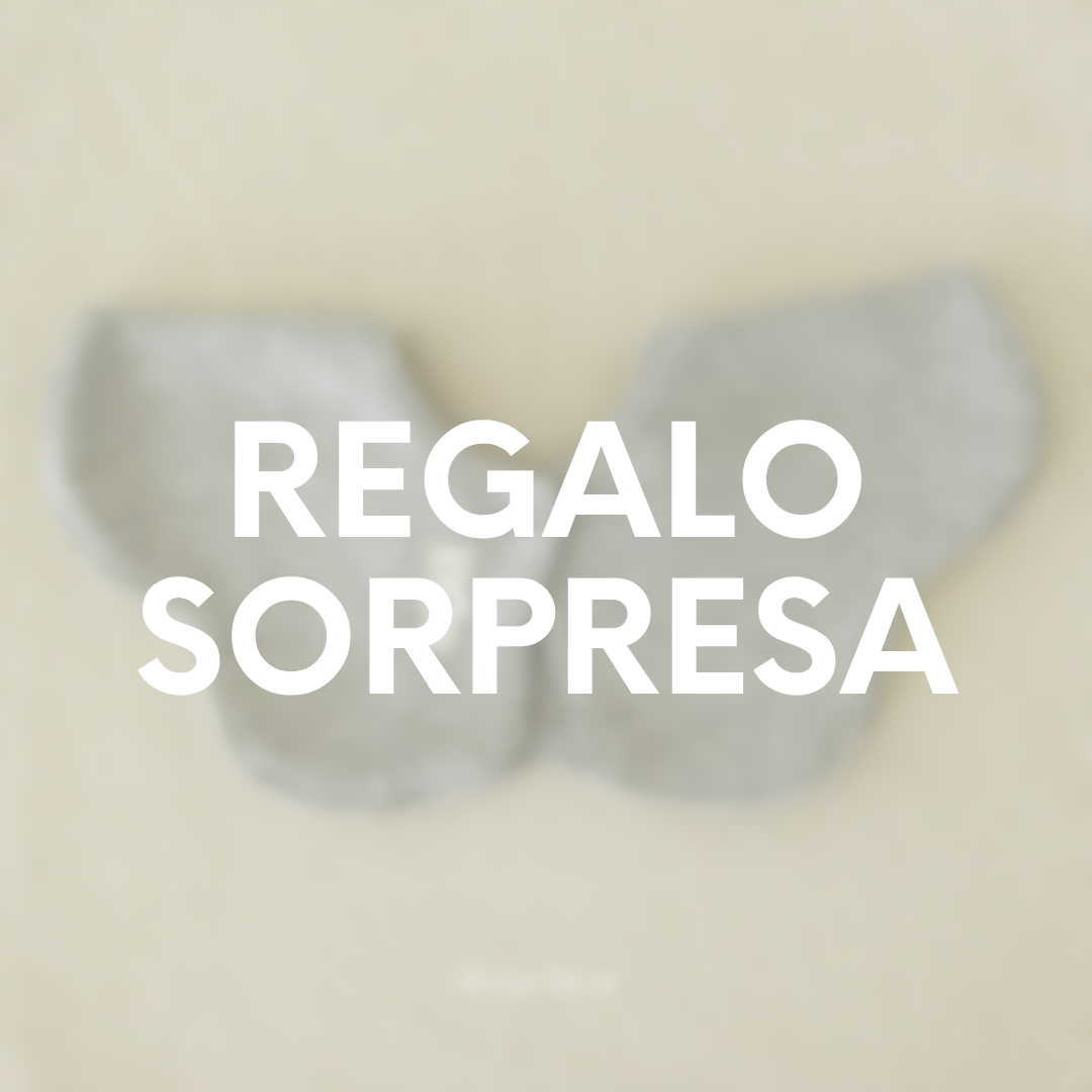 Regalo Sorpresa