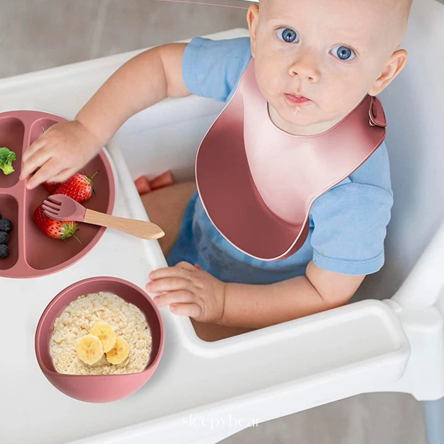 Bowl de Alimentación de Silicón