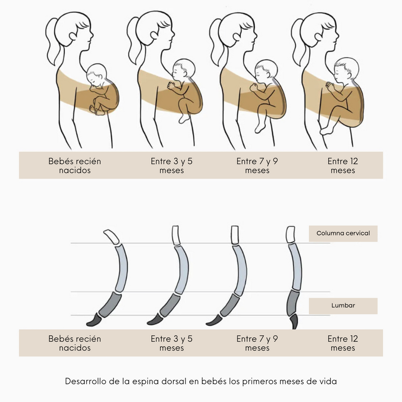 multicolumns-item-image-2